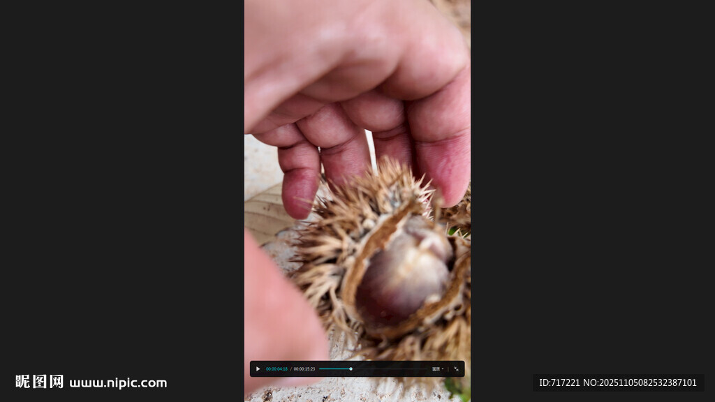 手捧獨特帶刺果實