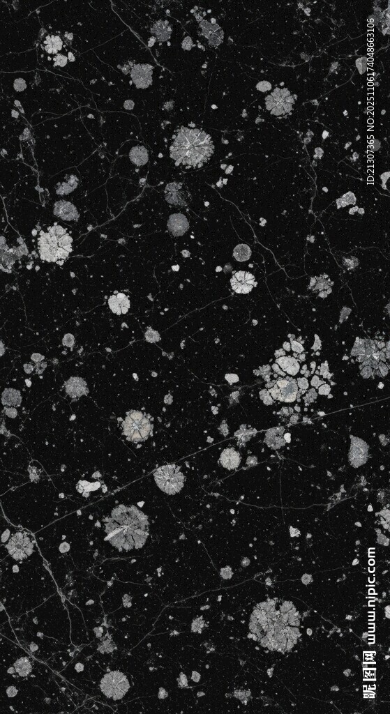 黑色背景上的白色斑點(diǎn)圖案