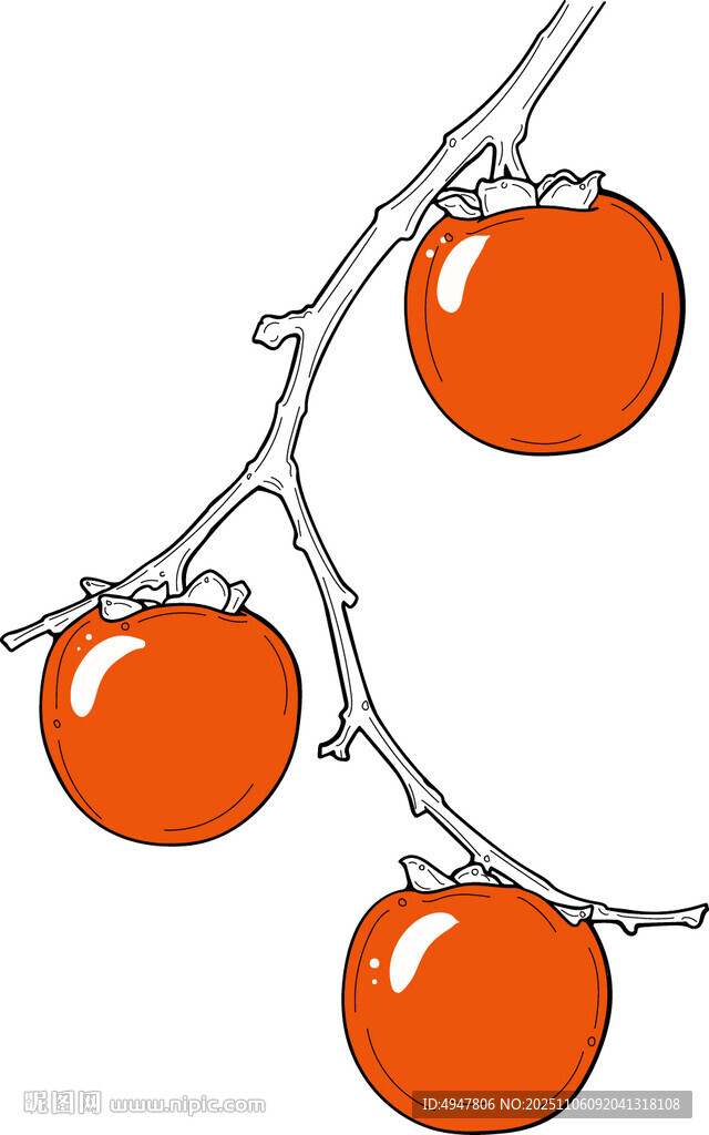 枝頭掛著的新鮮西紅柿 矢量圖