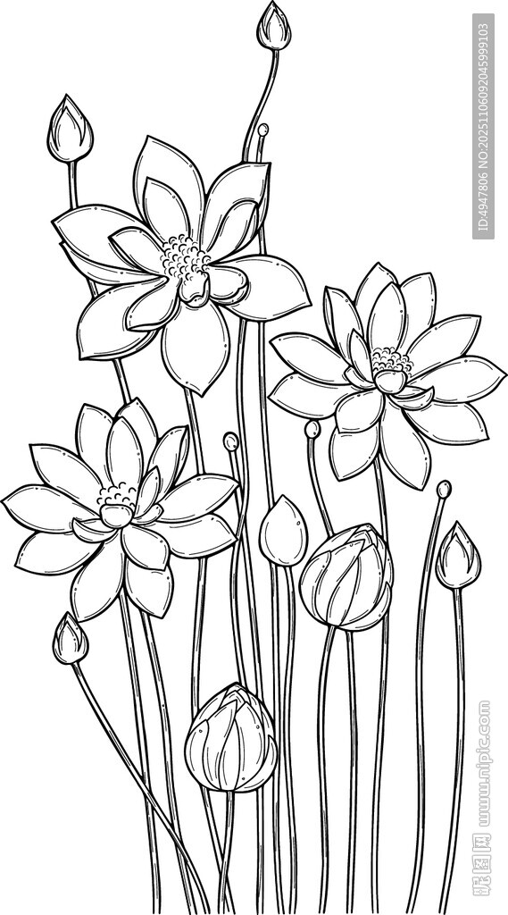 手繪線條荷花花卉圖案 矢量圖