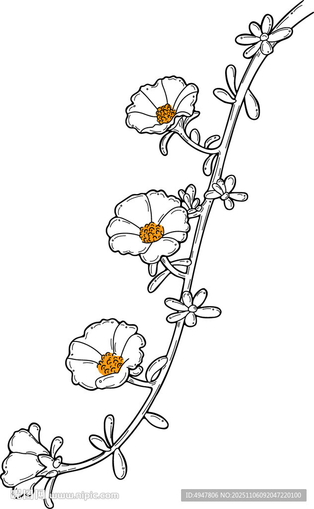 手繪白色花朵藤蔓圖案 矢量圖