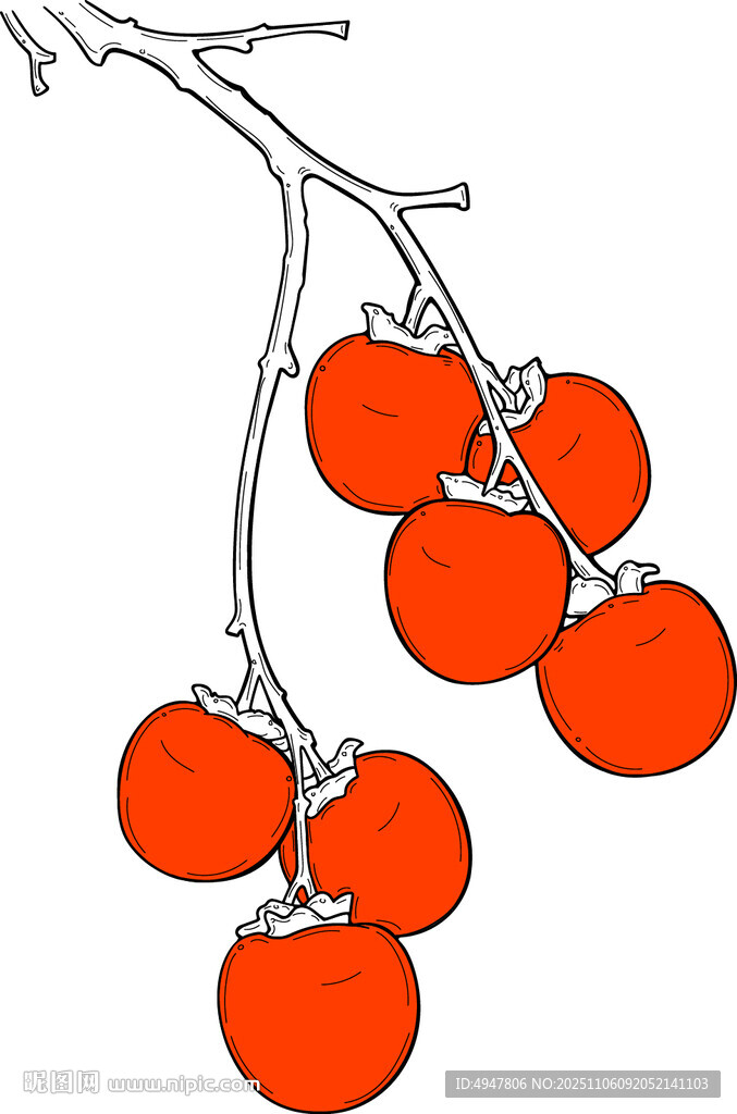 枝頭紅柿簡(jiǎn)約插畫 矢量圖