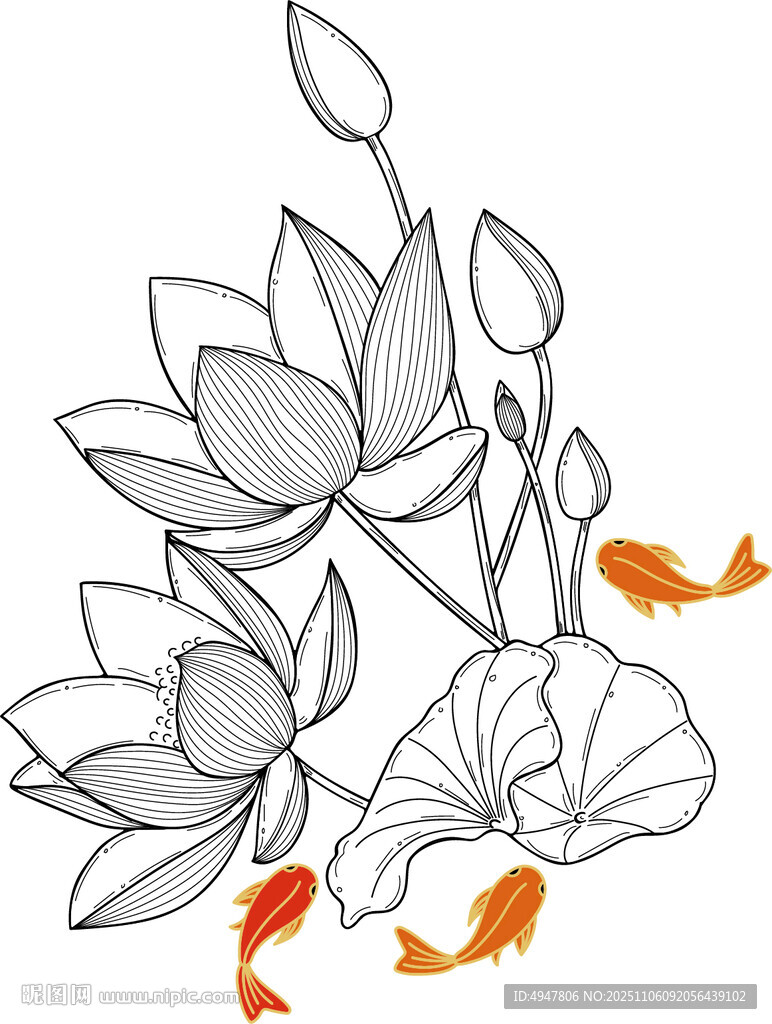 荷花金魚(yú)圖 矢量圖