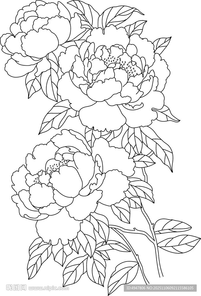 牡丹花卉線稿圖案設(shè)計(jì) 矢量圖