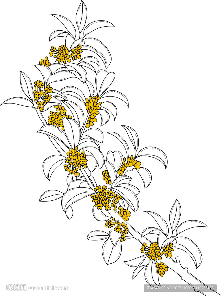 手繪黃色花朵花枝圖案 矢量圖