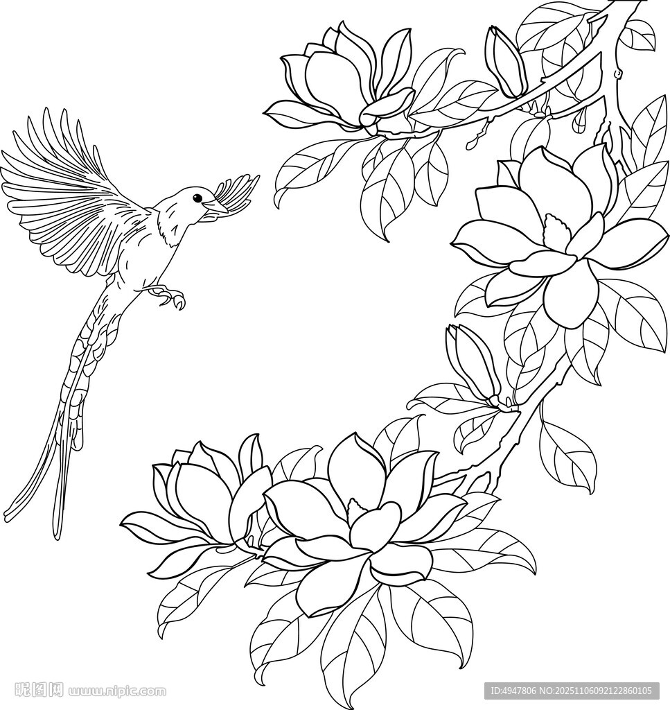 花鳥(niǎo)線描圖 矢量圖