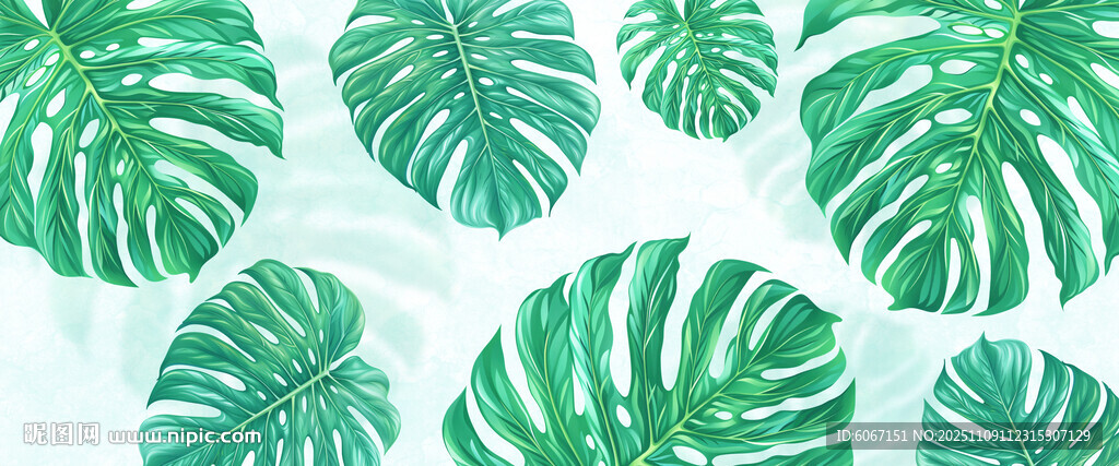 熱帶雨林綠植霧氣模糊背景