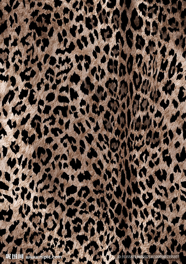 豹紋圖案紋理背景圖