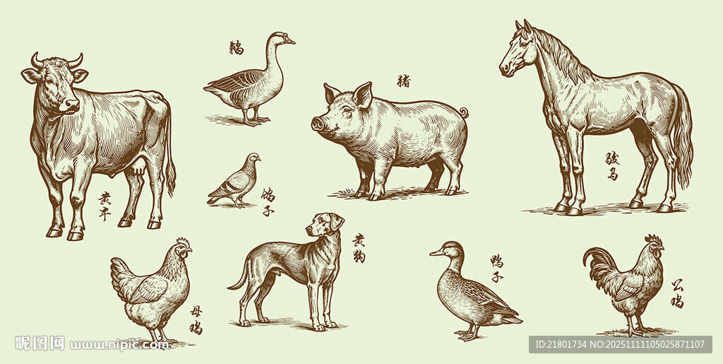  農(nóng)場動物家禽木版畫插畫集合