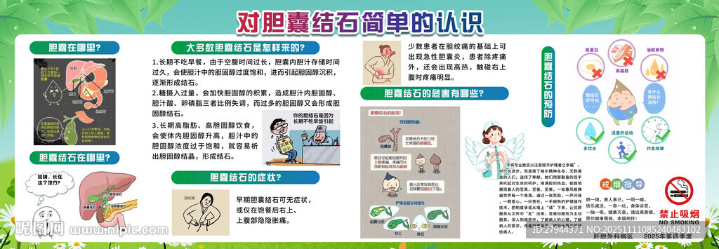 肝膽科膽囊結(jié)石健康宣傳欄展板