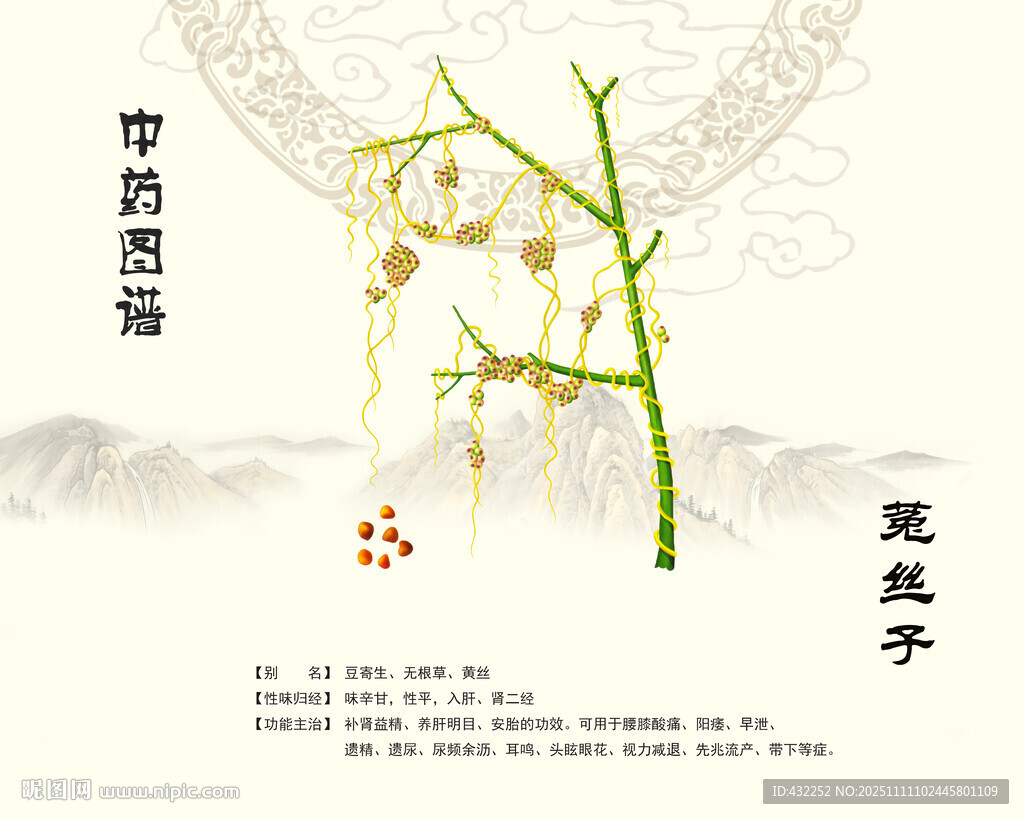 中藥菟絲子展示圖