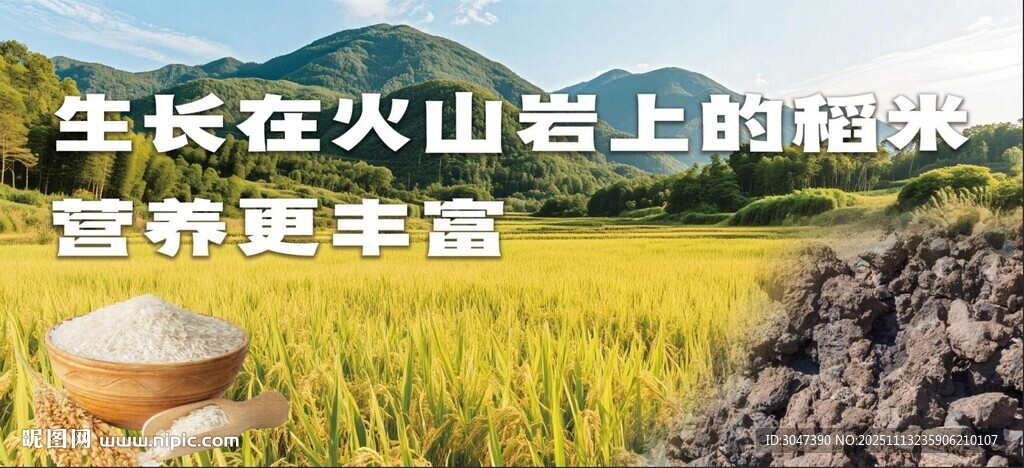稻米水稻大米海報五常大米