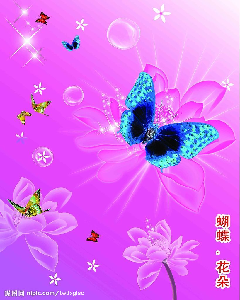 梦幻之蝶