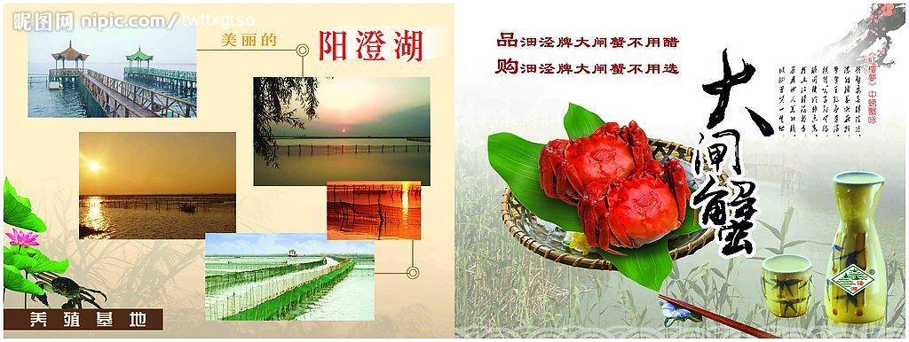 大闸蟹样本