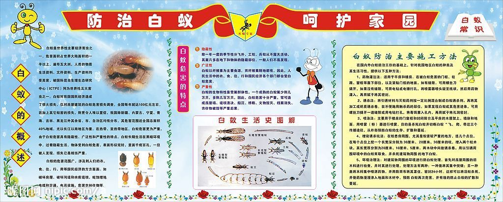 白蚁防治