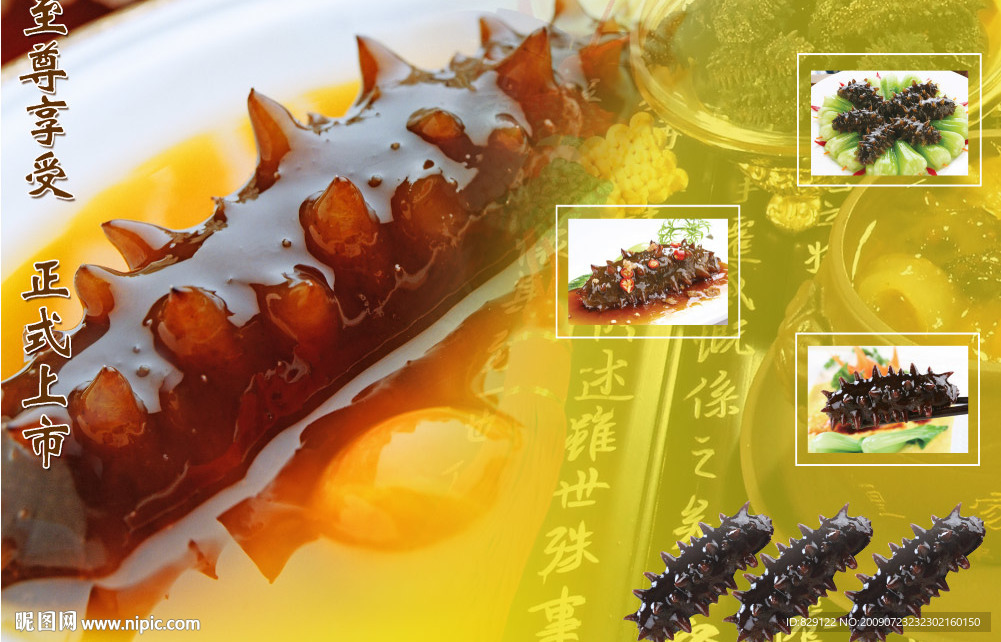 海参广告