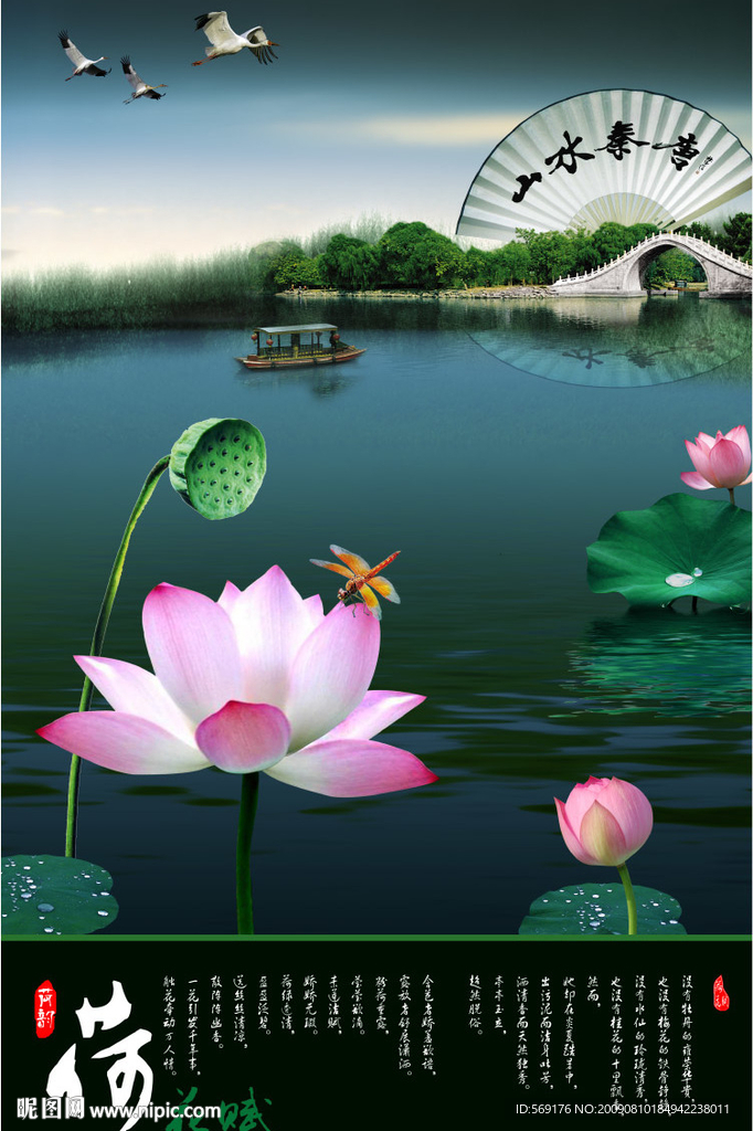 荷花赋