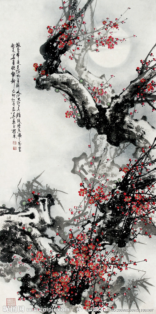 梅花韦兆华图片