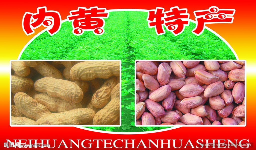 内黄特产纸箱包装