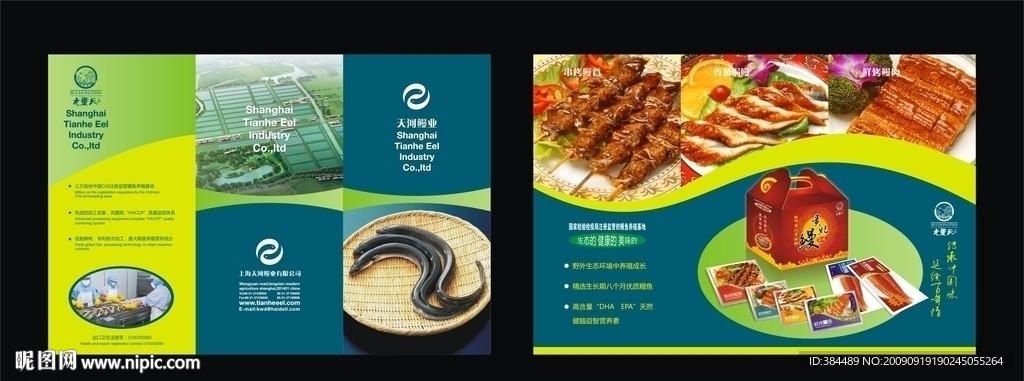 天河鳗业3折页