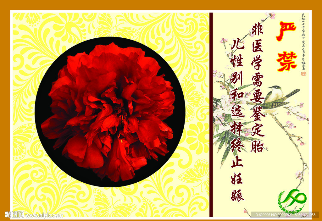 严禁非医学需要鉴定胎儿性别