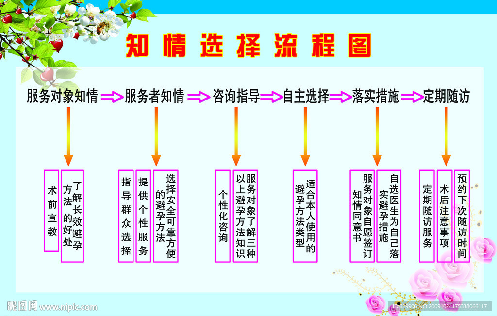 知情选择流程图