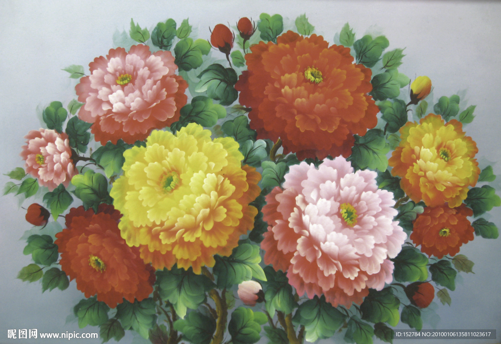 牡丹花