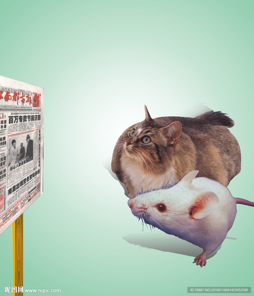 猫和老鼠