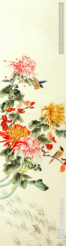 花鸟图片