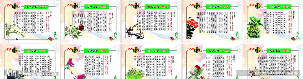 中国十大名花