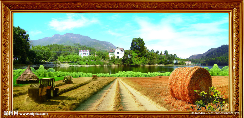 自然风景 麦田风景 美丽大自然