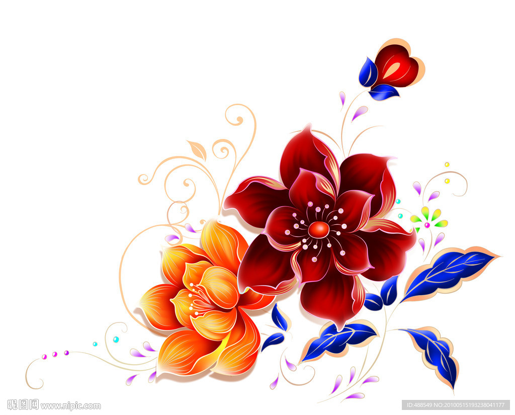 彩色的花