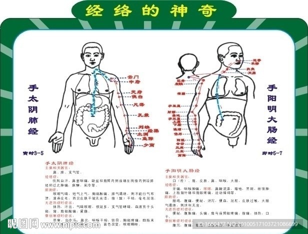 络神经指示图