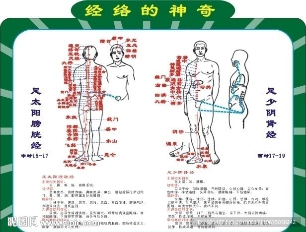 《灵枢 经脉》