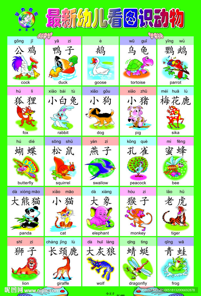 幼儿智力启蒙识字挂图