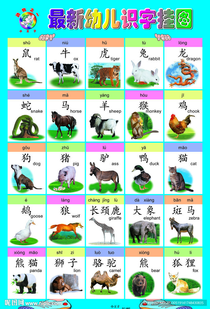 幼儿智力启蒙识字挂图 5