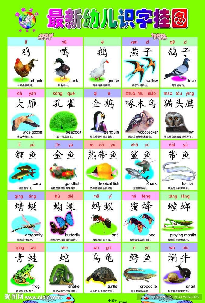 幼儿智力启蒙识字挂图 6