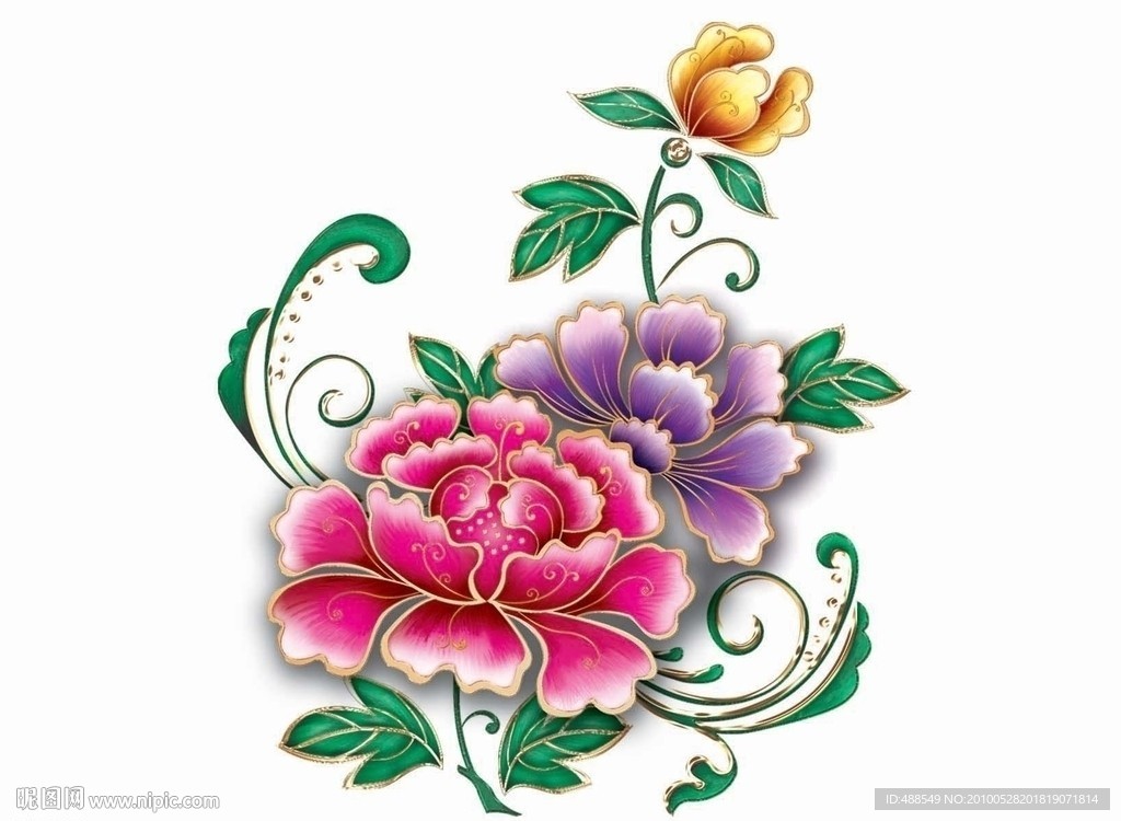 高清晰彩色花
