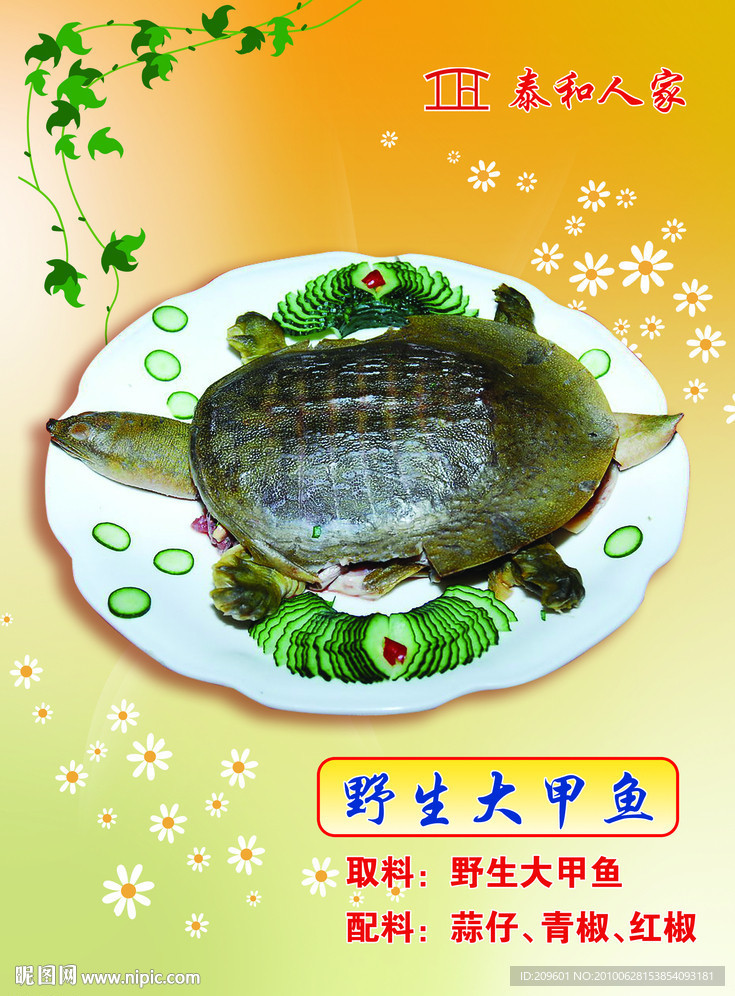 野生大甲鱼