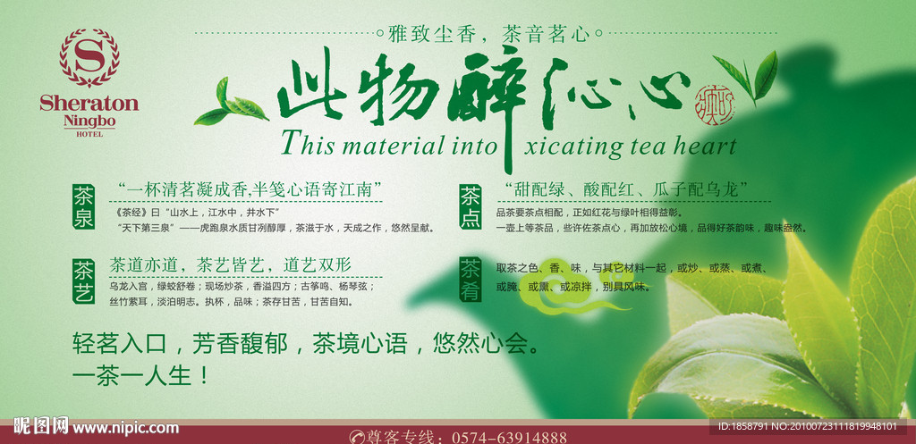 茶 新茶 茶文化