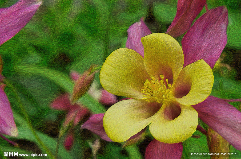 花卉油画 花油画