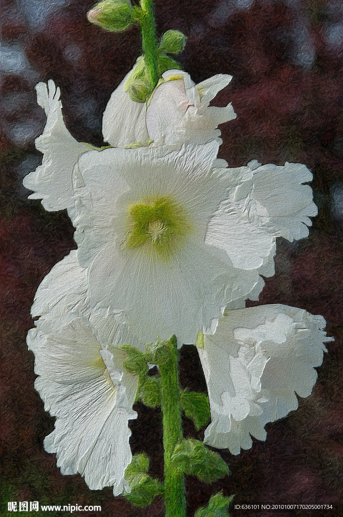 花卉油画 花油画