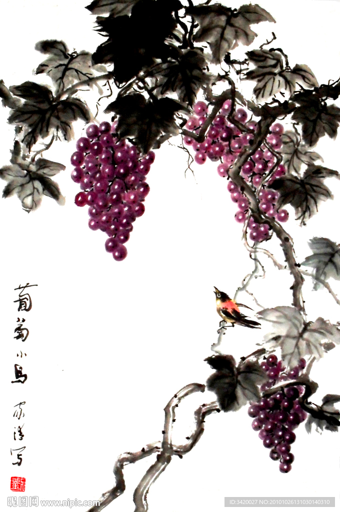 葡萄小鸟