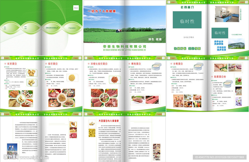 大豆蛋白粉画册设计