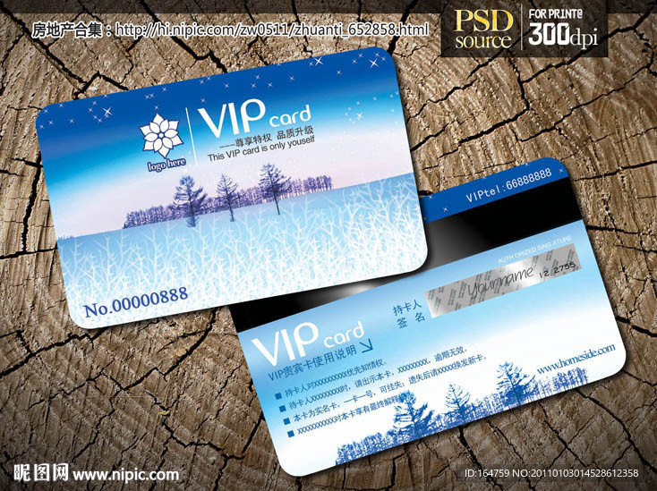 VIP贵宾卡 VIP会员卡