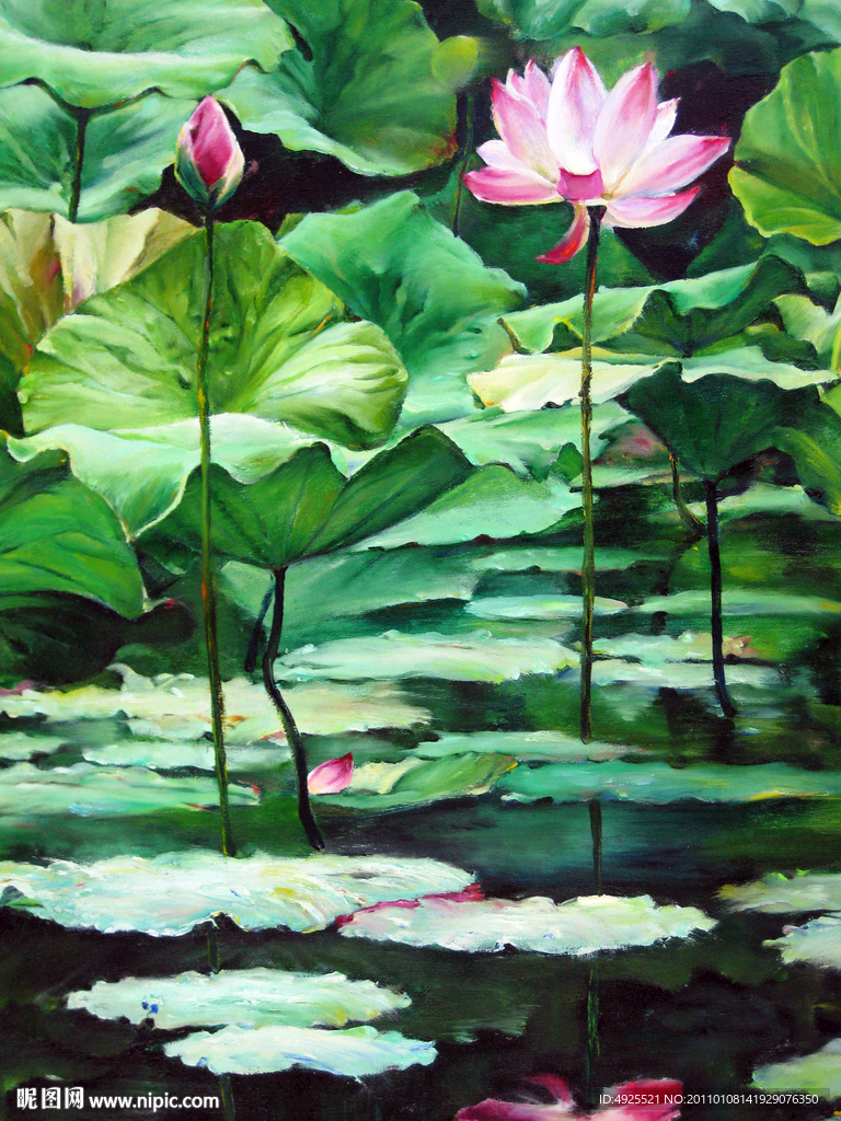 油画荷花