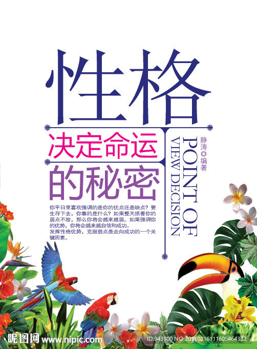 花鸟设计
