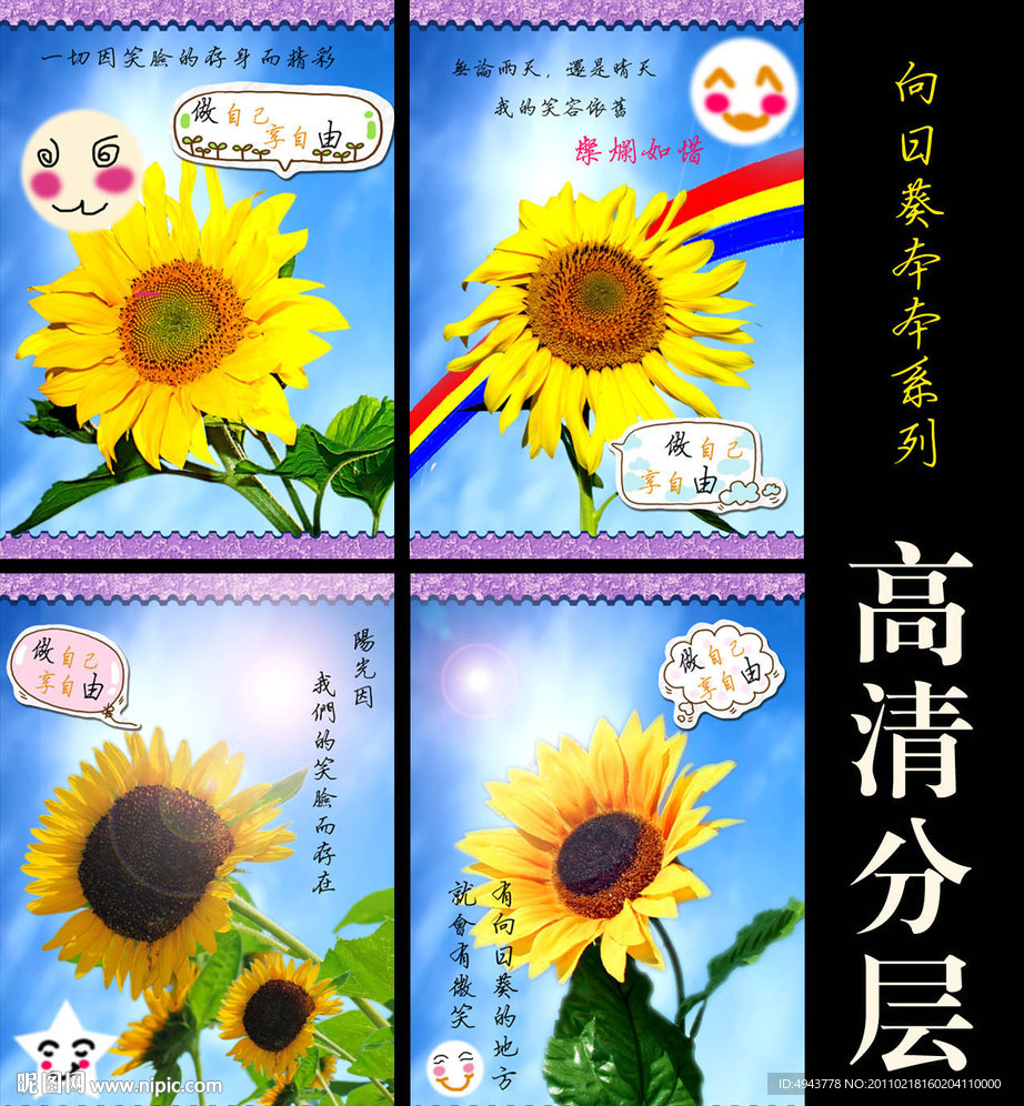 向日葵高清本本系列