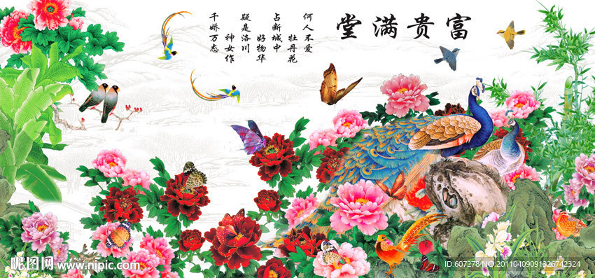 花开富贵 牡丹花