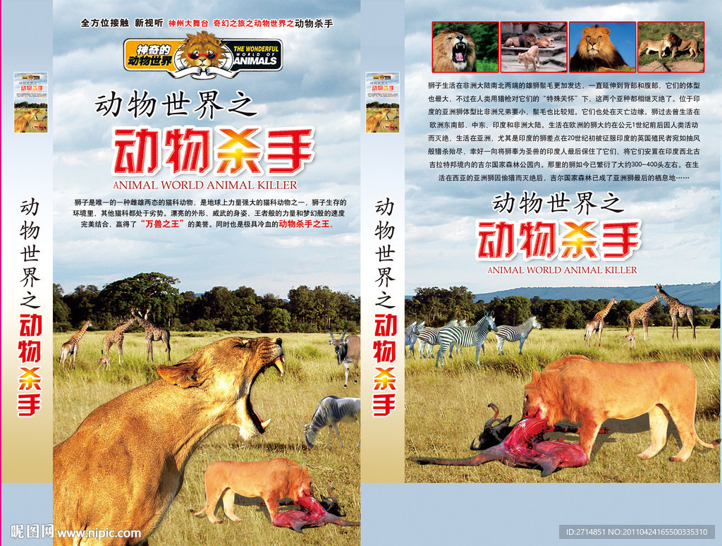 动物世界之动物杀手